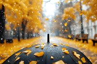 Black umbrella with autumn leaves and raindrops in park during fall season. Blurred golden foliage background creates dreamy bokeh effect. Moody weather atmosphere.