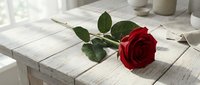 Single red rose with green leaves lying on a rustic white wooden table in soft natural light, romantic and elegant mood.