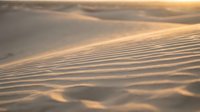 Golden sand dunes with rippled texture patterns created by wind erosion in warm desert landscape during sunset hour with soft natural lighting.