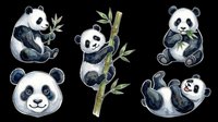 Cute watercolor panda bear set with bamboo, isolated on transparent background. Great for stickers, clipart, t-shirt design, print on demand, and sublimation projects.