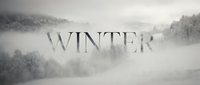 Misty winter landscape with snow-covered trees and fog, featuring bold WINTER text overlay for seasonal banners, cards, and social media.
