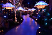 Enchanting indoor garden pathway with glowing umbrella lights and colorful illumination creating magical atmosphere for events and hospitality venues.