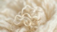 Soft cream colored wool fibers in macro detail showing natural texture and organic curves for textile and craft projects.