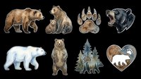 Watercolor bear sticker set isolated on transparent background, featuring grizzly, polar, black bears, paw print, forest heart, ready for t-shirt design, clipart, and print on demand.