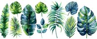 Watercolor tropical leaves collection with monstera, palm and fern foliage in vibrant green and blue tones.