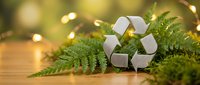 White recycling symbol surrounded by fresh green fern leaves on wooden surface with warm bokeh lights creating eco-friendly sustainability concept.