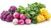 Fresh colorful vegetables on white background - purple cauliflower, pink radishes, green spinach leaves, and yellow cauliflower arranged in row, isolated for design use.