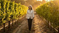 Professional businesswoman walking through vineyard rows at golden hour sunset, agriculture industry executive in formal attire among grapevines during harvest season.