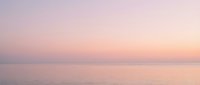 Serene ocean horizon at sunrise with soft pink and lavender sky reflecting on calm water surface, peaceful seascape for relaxation and wellness projects.