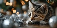Curious tabby kitten exploring Christmas decorations with silver tinsel and ornaments against festive bokeh lights background.