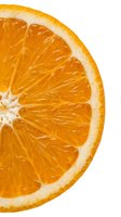 Fresh orange slice isolated on white background, showing detailed citrus segments and pith. Perfect for food, beverage, health and wellness design projects.