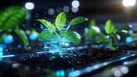 Green plant seedling emerging from soil with digital holographic projection, representing sustainable technology and smart agriculture innovation in modern farming.