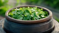 Fresh chopped parsley leaves in rustic clay bowl against blurred garden background, natural organic herbs for cooking and garnishing food.