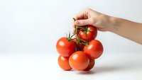 Hand holding fresh red tomatoes on vine against white background for healthy cooking and organic food concepts.