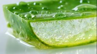 Fresh aloe vera gel with water droplets on surface, natural skincare ingredient for moisturizing and healing properties.