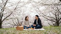 Young Asian couple enjoying a romantic spring picnic under blooming cherry blossom trees, sharing a joyful moment outdoors.