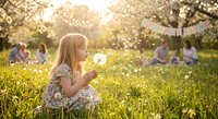 Young blonde girl blowing dandelion seeds in sunny spring orchard with families enjoying picnic in background during golden hour outdoor leisure time.