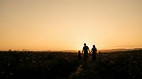 Silhouetted family of four walking through wildflower field at golden hour sunset, holding hands on rural path for lifestyle and travel content.