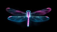 Glowing neon dragonfly with translucent wings in blue and pink colors against black background, magical luminescent insect art for creative design projects.