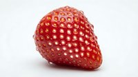 Ripe red strawberry with detailed seeds and natural texture isolated on white background, suitable for food packaging and culinary design projects.