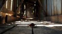 Dramatic low angle view of cockroach silhouette on wooden floor in abandoned building, sunlight streaming through wooden slats creates atmospheric lighting pattern.