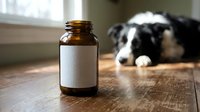 Amber glass medicine bottle with blank label on wooden surface with blurred black and white dog in background for veterinary pharmaceutical packaging design.