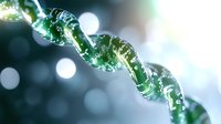 Macro shot of green spiral DNA molecule structure with bokeh light effect background showing genetic research and biotechnology concept in medicine.
