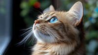 Majestic long-haired cat with striking blue eyes gazing upward against blurred natural background, showcasing feline grace and beauty in soft natural lighting.