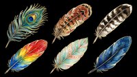 Feathers isolated on transparent background, ready for clipart, t-shirt design, stickers, print-on-demand products, and sublimation projects. Six decorative feathers in vibrant colors and patterns.