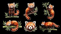 Red panda collection isolated on transparent background, ready for t-shirt design, clipart, stickers, sublimation and print-on-demand products.