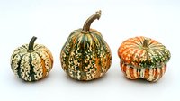 Three decorative autumn gourds with green and orange striped patterns isolated on white background for seasonal harvest designs and fall decorations.