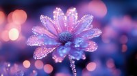Pink daisy flower with morning dew drops on petals against blurred bokeh background in purple and blue tones creating dreamy atmospheric nature macro photography.