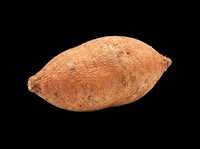 Sweet potato isolated on transparent background, raw whole yam with rough skin, ready for food design, stickers, print on demand, clipart, and T-shirt use.