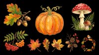 Autumn harvest collection with oak leaves, acorns, pumpkin, red mushroom, rowan berries, maple leaves, berry sprigs, and decorative wreath isolated on transparent background for seasonal designs, clipart, and crafts.