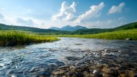 Mountain stream flowing through green valley with clear water over rocky riverbed, lush grass banks and distant peaks under summer clouds in wilderness landscape.