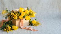 Bright yellow tulips and mimosa flowers in elegant gift box with silk ribbon on white marble surface for spring celebration and women's day greeting.