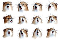 Expressive cartoon fox faces showing different emotions and reactions with open mouths, whiskers, and varied eye expressions on white background, ready for design use.