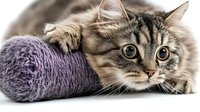 Adorable long-haired tabby cat lying next to purple yarn ball, looking at camera with bright green eyes. Close-up portrait showing playful feline expression.