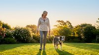Young blonde woman walking with border collie dog on green grass lawn during golden hour sunset in backyard garden with blooming flowers and trees.