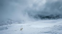 Lone deer standing in snowy mountain valley with misty peaks and frost-covered forest during winter storm, wildlife in natural habitat.