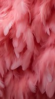 Soft pink feathers creating luxurious texture for fashion, costume design, or decorative backgrounds.