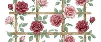 Roses in shades of pink and burgundy with green foliage arranged behind a wooden trellis grid on white background, suitable for wallpaper and textile design.