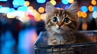 Adorable fluffy kitten with big blue eyes sitting in shopping cart against blurred bokeh lights background, creating magical holiday atmosphere for greeting cards.