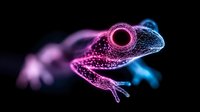Glowing wireframe frog in neon pink and blue colors on black background, digital art style with polygonal mesh structure creating luminous animal silhouette.