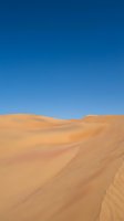 Vast golden sand dunes roll beneath a clear blue sky, showcasing the serene landscape of an arid desert environment. Suitable for travel, nature, and background design projects.