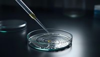 Laboratory technician using precision tweezers to handle bacterial culture sample in sterile petri dish for microbiological research and analysis.
