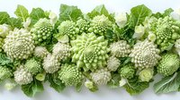 Fresh romanesco broccoli and cauliflower arranged in decorative border with green leaves, creating geometric pattern for food photography and menu design.