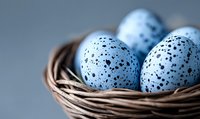 Speckled blue quail eggs nestled in rustic woven basket against neutral background, creating serene natural composition for food and Easter designs.