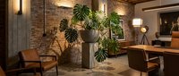 Modern industrial office interior with exposed brick walls, concrete columns and lush green plants creating biophilic workspace design for contemporary business.