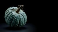 Pale green textured pumpkin with weathered stem isolated on dark background, suitable for autumn harvest designs, seasonal marketing, and fall-themed graphics.